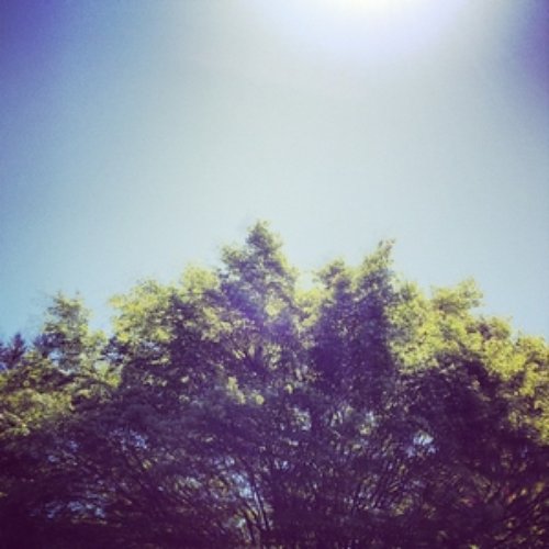 Wander EP
