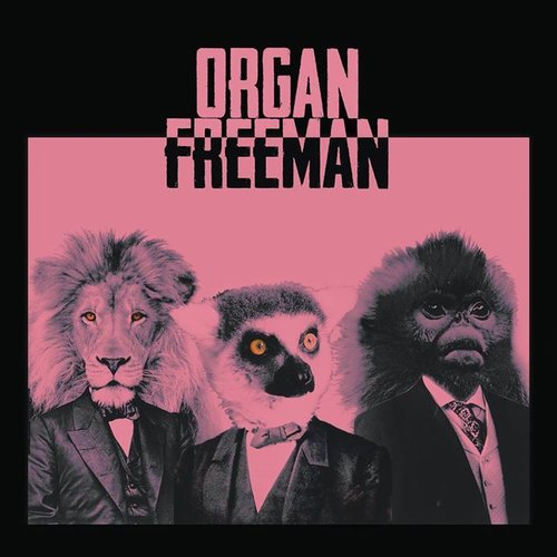 Organ Freeman