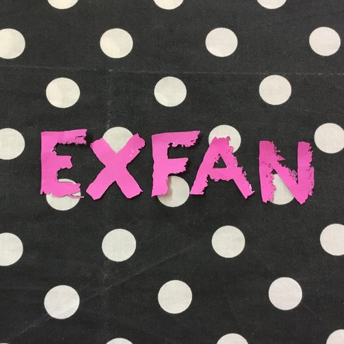 Exfan