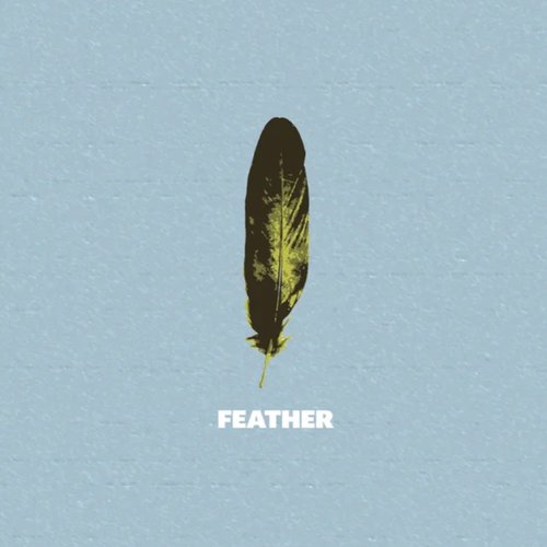 Feather