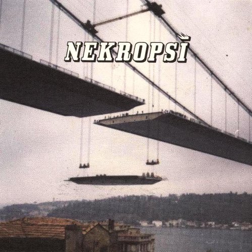 Nekropsi