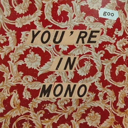 You're in Mono