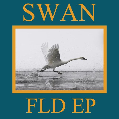 FLD EP