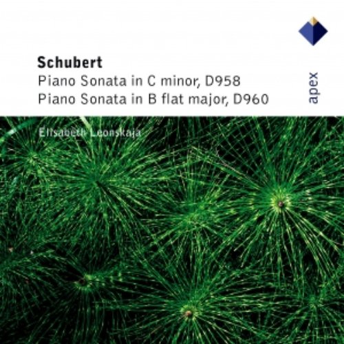Schubert : Piano Sonatas Nos 19 & 21