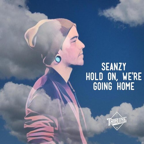 Hold on, We're Going Home