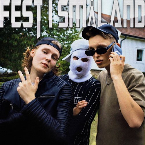 Fest i Småland
