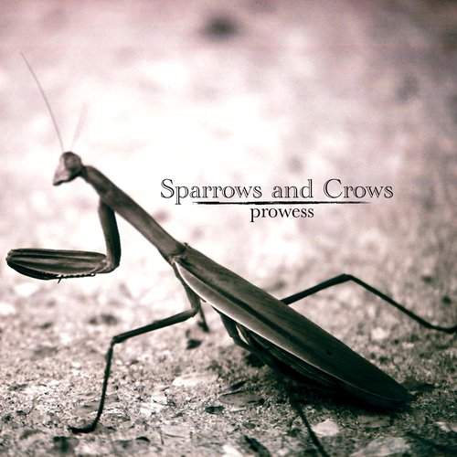 Prowess