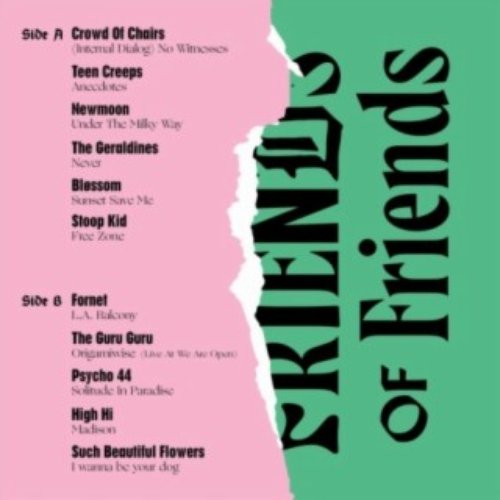Friends of Friends