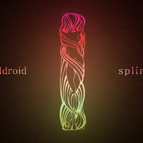 Splines