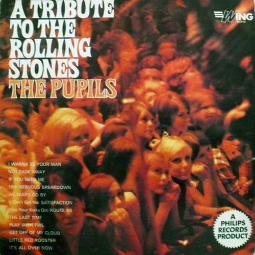 (I Can't Get No) Satisfaction (1966 Vinyl Edition)
