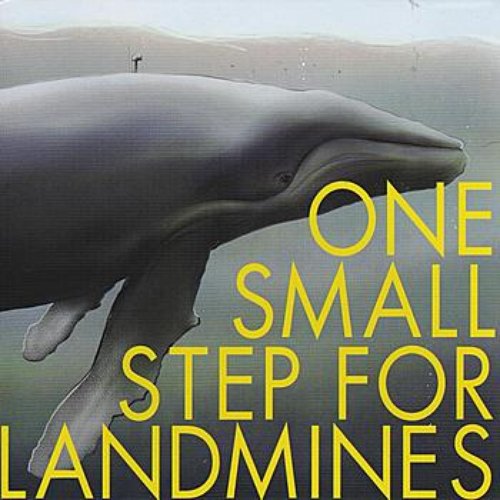 One Small Step For Landmines