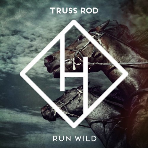 Run Wild - Single