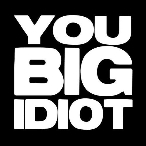You Big Idiot - EP