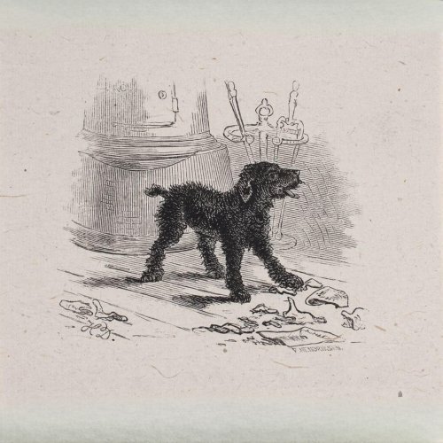 Black Hound