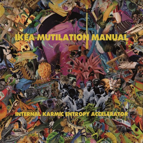 Internal Karmic Entropy Accelerator