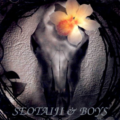 SEOTAIJI & Boys IV