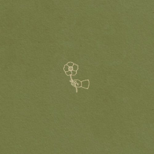Wildflower