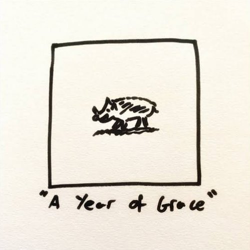 A Year of Grace