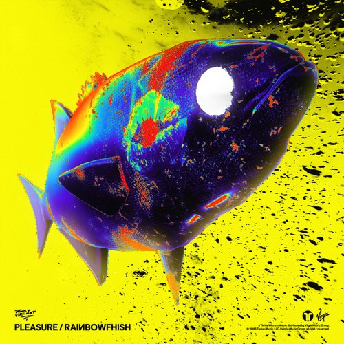 PLEASURE / RAINBOWFHISH - Single