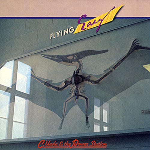 Flying Easy