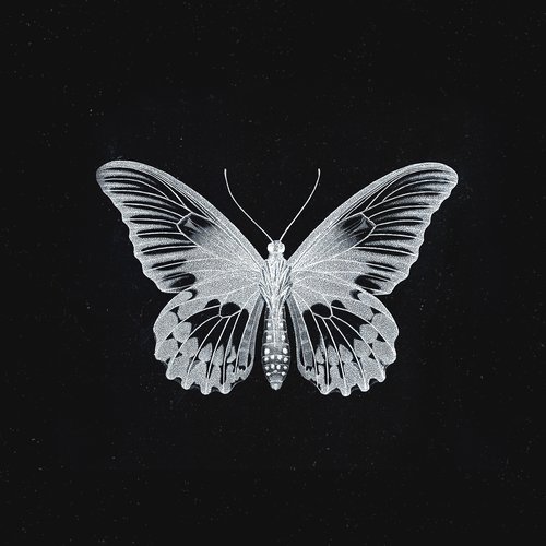 Monarch - EP