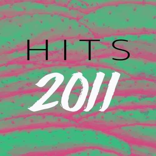 2011 Hits