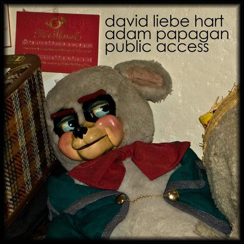 Public Access