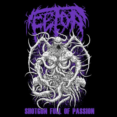Shotgun Full of Passion