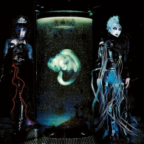 Schwarz Stein 2CDs Artificial Hallucination & New vogue