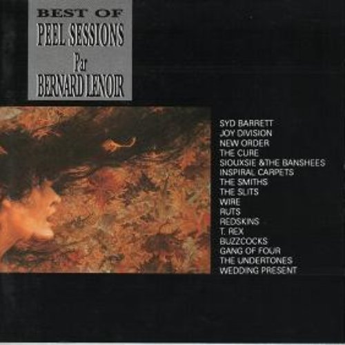 Best of Peel Sessions (Bernard Lenoir)