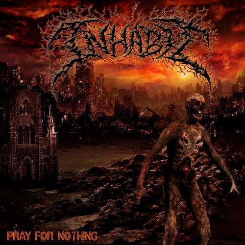 Pray For Nothing