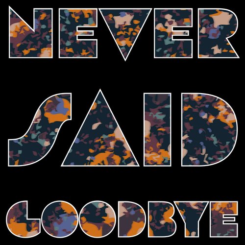 Never Said Goodbye - Single