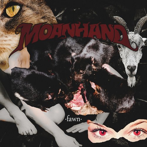 Fawn - Single