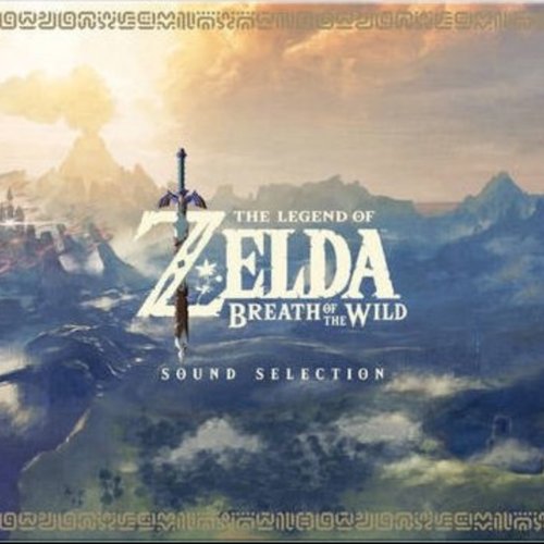 The Legend of Zelda: Breath of the Wild, Vol. 1