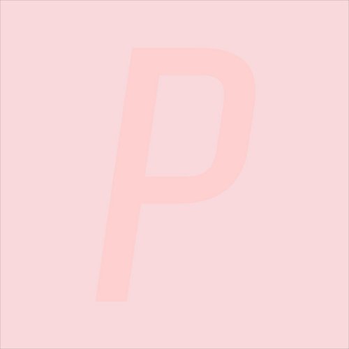 Pink Computer
