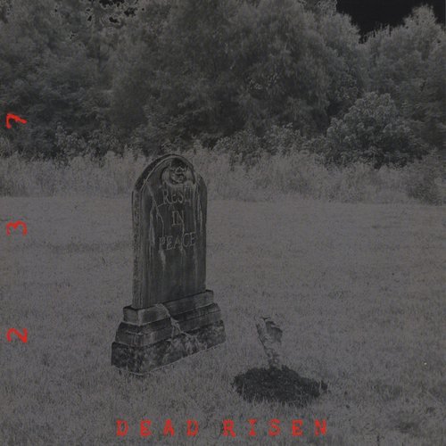 Dead Risen