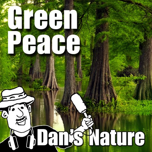 Green Peace (Nature Sounds)