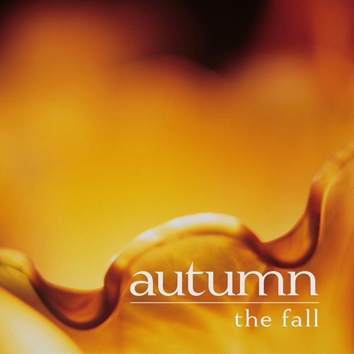 the fall - single