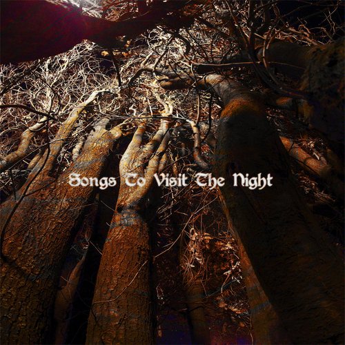 Songs To Visit The Night