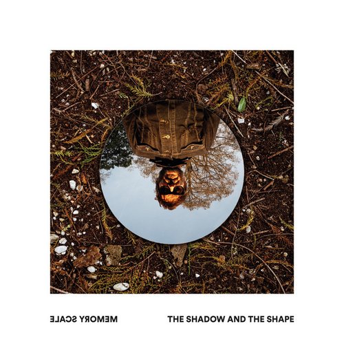 The Shadow and the Shape