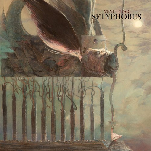 Setyphorus