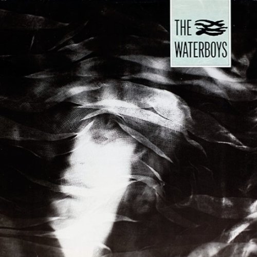 The Waterboys