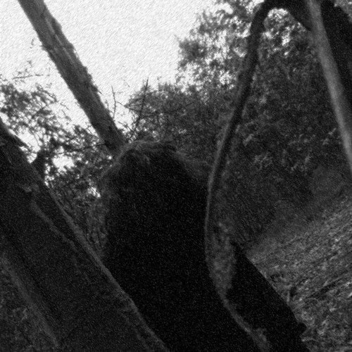 From the Darkest Abyss of Solitude