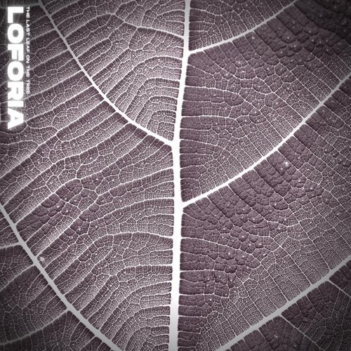 The Last Leaf on the Tree - Single