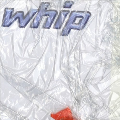 Whip - Single