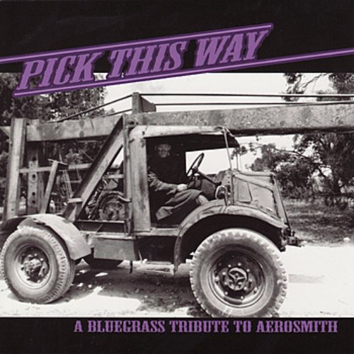 Pick This Way: A Bluegrass Tribute To Aerosmith