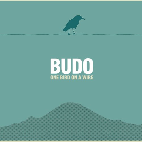 One Bird on a Wire