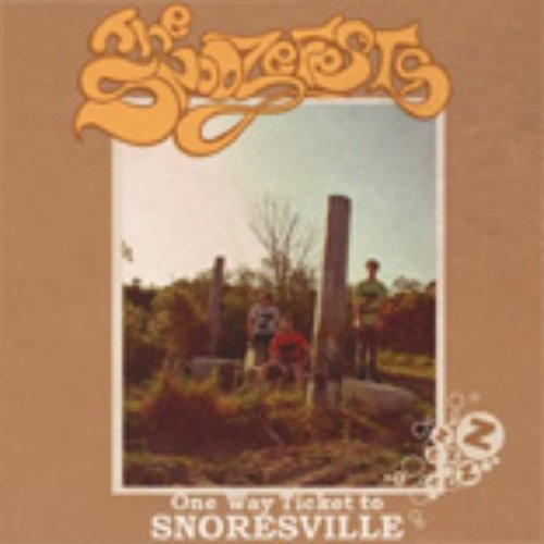 One Way Ticket To Snoresville