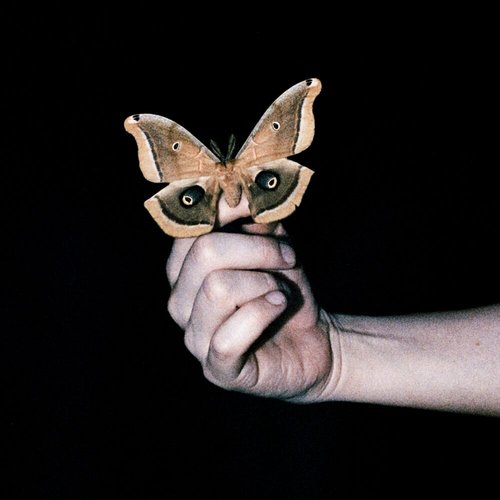 All Systems Are Lying [Explicit]