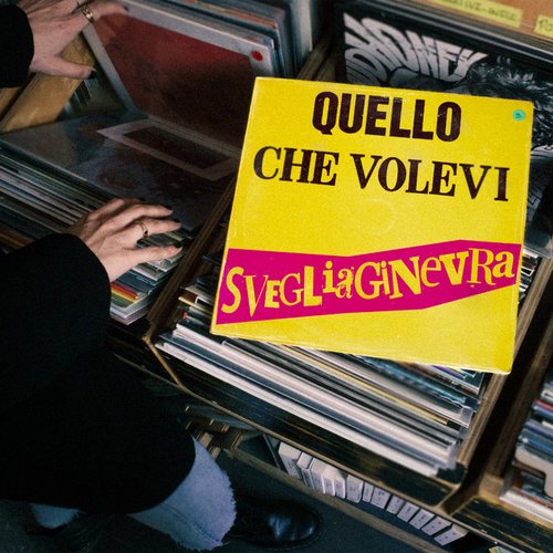 Quello che volevi - Single